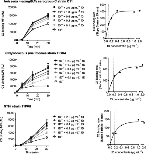 Complement factor D haplodeficiency is associated with a reduced complement activation speed and diminished bacterial killing