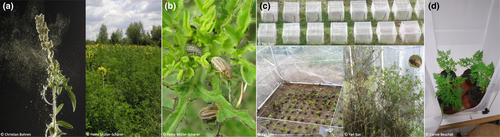 Details are in the caption following the image Details are in the caption following the image