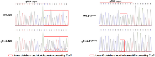Details are in the caption following the image Details are in the caption following the image
