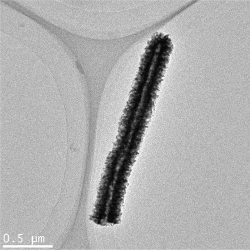 Details are in the caption following the image