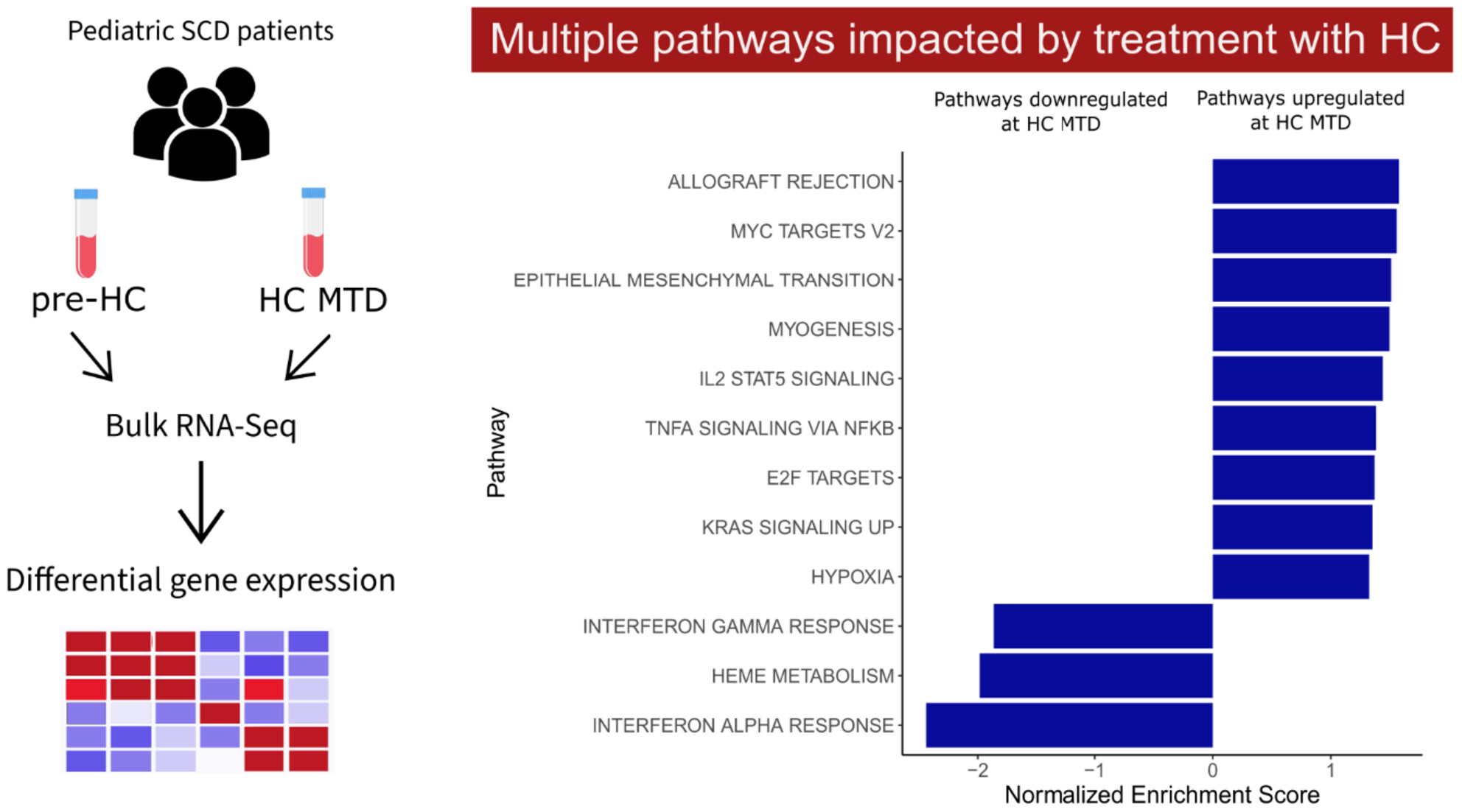 Impact of hydroxycarbamide treatment on the whole-blood transcriptome in sickle cell disease