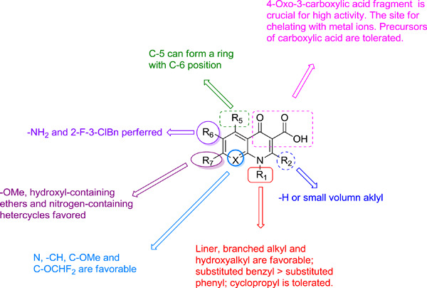 Quinolone derivatives: Potential anti-HIV agent—development and application