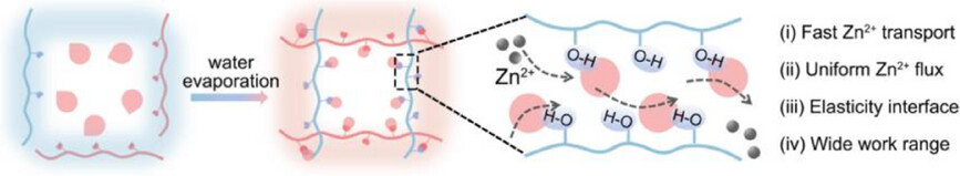 Design Considerations of Ionic Conductive Elastomeric Electrolyte for Solid-State Zinc Metal Batteries with High Safety and Long Life