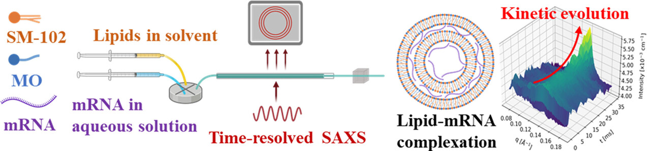 Real-Time pH-Dependent Self-Assembly of Ionisable Lipids from COVID-19 Vaccines and In Situ Nucleic Acid Complexation