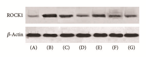 Details are in the caption following the image