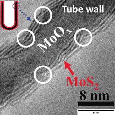 Aligned MoOx/MoS2 Core–Shell Nanotubular Structures with a High Density of Reactive Sites Based on Self-Ordered Anodic Molybdenum Oxide Nanotubes