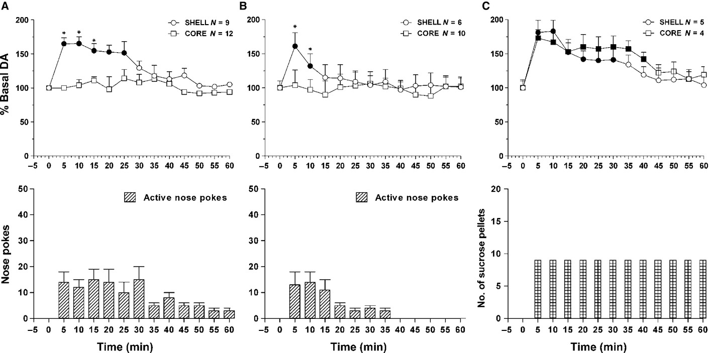 Nucleus accumbens shell and core dopamine responsiveness to sucrose in rats: role of response contingency and discriminative/conditioned cues