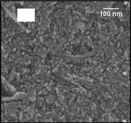 Details are in the caption following the image