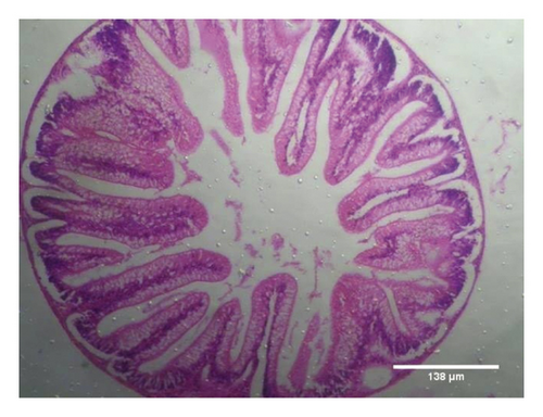 Details are in the caption following the image