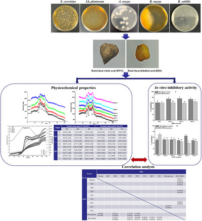 Effects of Staged Fermentation With Multistrains on the Physicochemical Characteristics and In Vitro Inhibitory Activity on Advanced Glycation End-Products (AGEs) Formation of Buckwheat