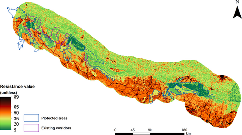 Details are in the caption following the image Details are in the caption following the image