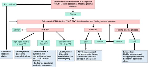 Endocrine toxicity of immune checkpoint inhibitors: essential crosstalk between endocrinologists and oncologists