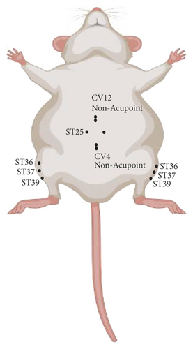 Details are in the caption following the image