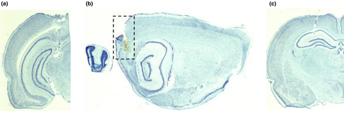Details are in the caption following the image Details are in the caption following the image