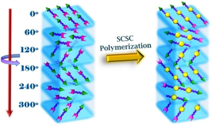 Designed Synthesis of a 1D Polymer in Twist-Stacked Topology via Single-Crystal-to-Single-Crystal Polymerization