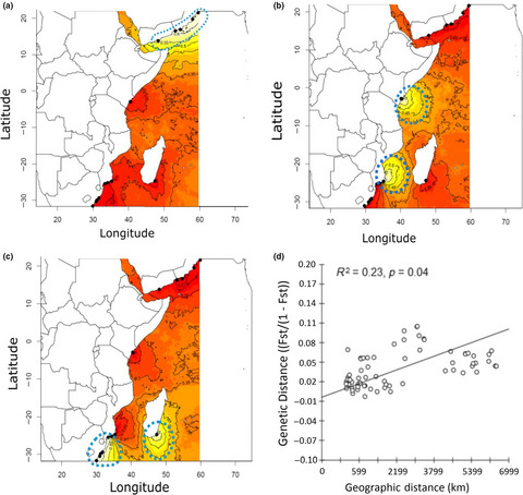 Seascape genetics of the spiny lobster Panulirus homarus in the Western Indian Ocean: Understanding how oceanographic features shape the genetic structure of species with high larval dispersal potential