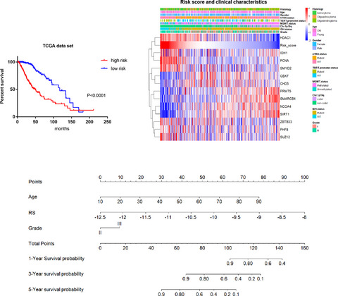 Identification of an epigenetic prognostic signature for patients with lower-grade gliomas