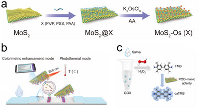Ligand-Engineering MoS2-Osmium Heterostructure as Highly Active and Specific Peroxidase-Mimic Nanozyme for Interference-Free and Multimode Biosensing