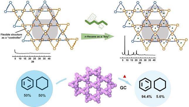 Rigid-Flexible Hybrid Porous Molecular Crystals with Guest-Induced Reversible Crystallinity