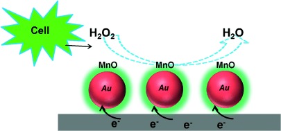 Core/Shell Au/MnO Nanoparticles Prepared Through Controlled Oxidation of AuMn as an Electrocatalyst for Sensitive H2O2 Detection