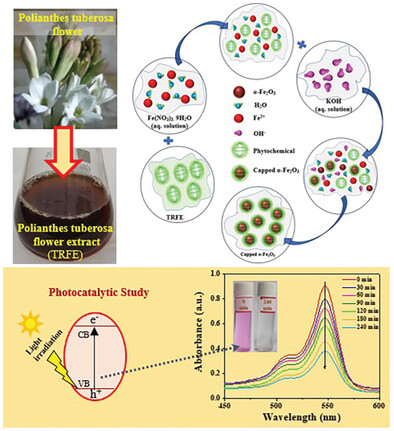 Pristine and Nature-Inspired Hematite (α-Fe2O3) Nanoparticles and Search for their Photocatalytic Application
