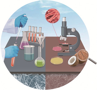 Emerging Carbon-Nanofiber Aerogels: Chemosynthesis versus Biosynthesis