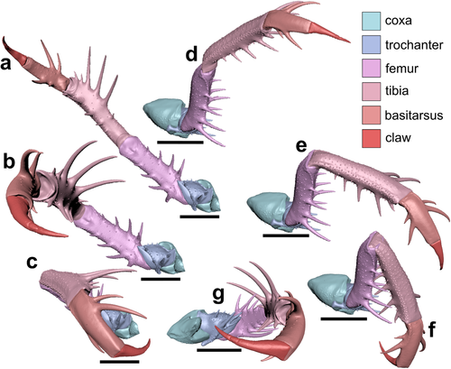 Details are in the caption following the image Details are in the caption following the image