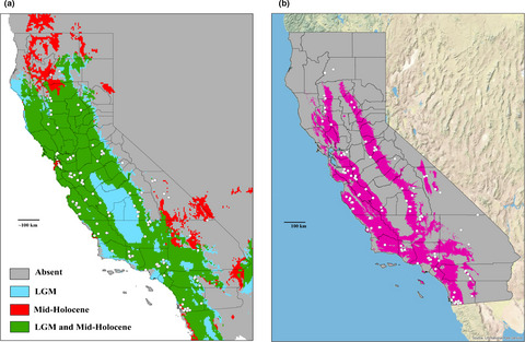 Systematics and evolution of Kibramoa Chamberlin 1924 (Araneae: Plectreuridae) from the California Floristic Province