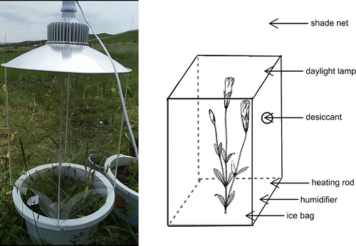 Details are in the caption following the image