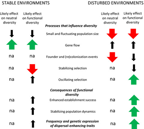 Contrasting patterns of neutral and functional genetic diversity in stable and disturbed environments