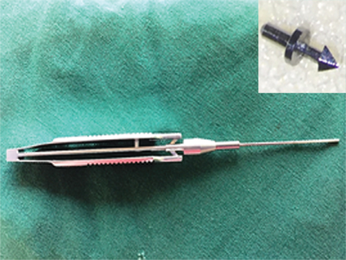 Details are in the caption following the image Details are in the caption following the image