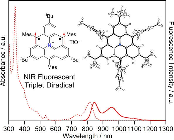 A Kinetically Stabilized Nitrogen-Doped Triangulene Cation: Stable and NIR Fluorescent Diradical Cation with Triplet Ground State