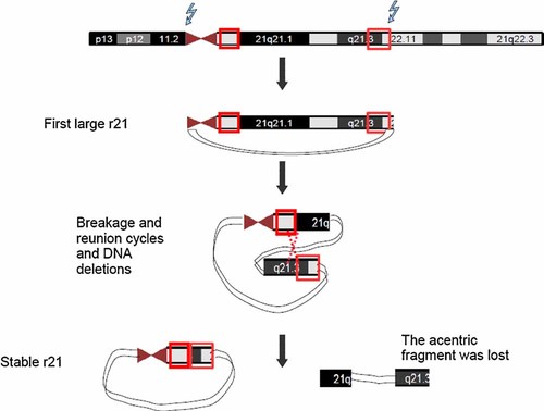 Details are in the caption following the image
