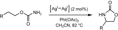 A Silver-Catalyzed Intramolecular Amidation of Saturated C<span class='icomoon'></span>H Bonds