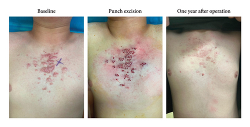 Details are in the caption following the image Details are in the caption following the image