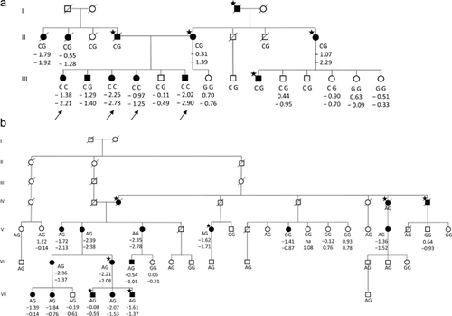 Details are in the caption following the image Details are in the caption following the image