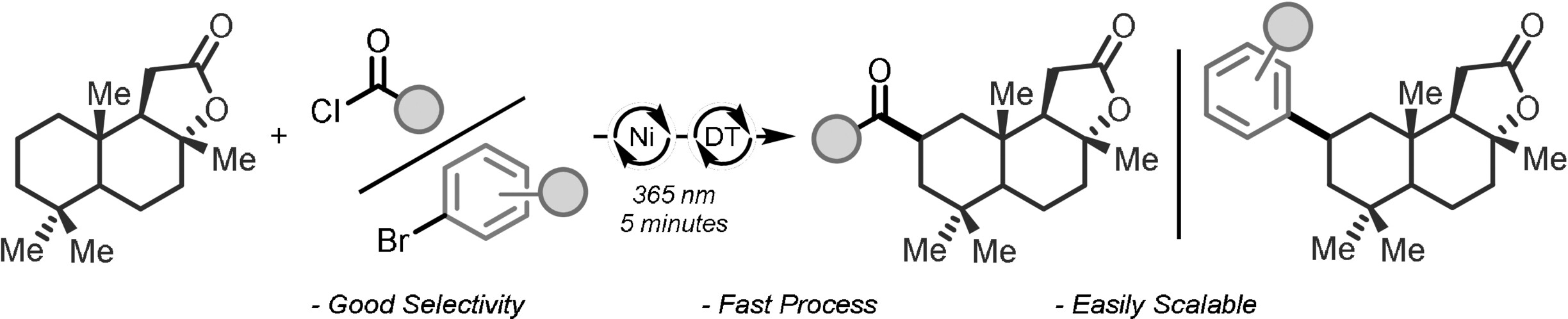 Rapid and Direct Photocatalytic C(sp3)−H Acylation and Arylation in Flow