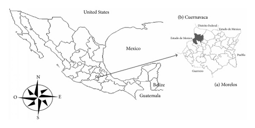 Details are in the caption following the image