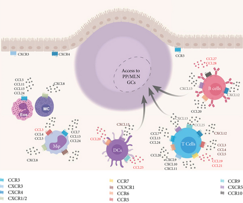 Details are in the caption following the image Details are in the caption following the image