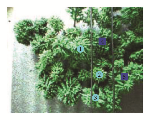 Details are in the caption following the image Details are in the caption following the image