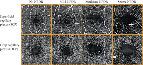 Details are in the caption following the image Details are in the caption following the image