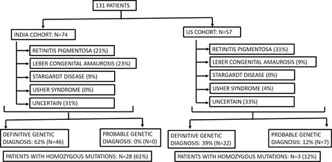 Prevalence of mutations in inherited retinal diseases: A comparison between the United States and India