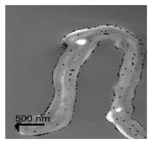 Details are in the caption following the image