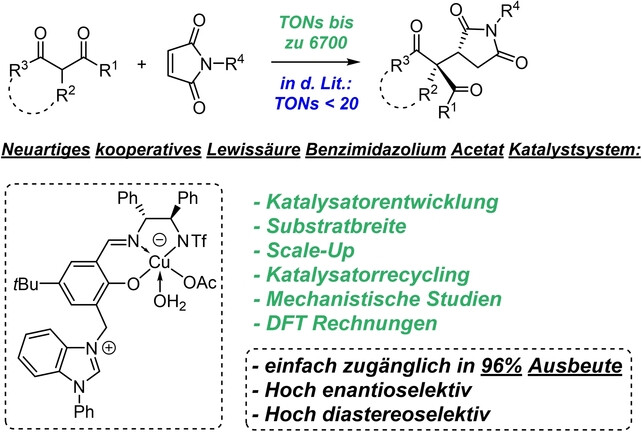 Ein praktikabler und robuster zwitterionischer kooperativer Lewis-Säure-/Acetat-/Benzimidazolium-Katalysator für direkte 1,4-Additionen