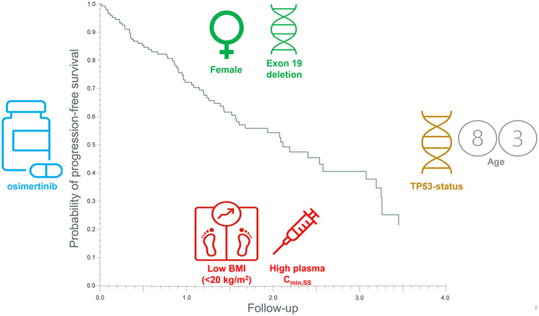 Exploring the impact of patient-specific clinical features on osimertinib effectiveness in a real-world cohort of patients with EGFR mutated non-small cell lung cancer