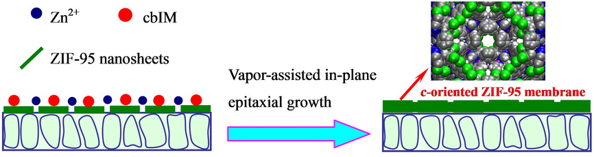 Anisotropic Gas Separation in Oriented ZIF-95 Membranes Prepared by Vapor-Assisted In-Plane Epitaxial Growth