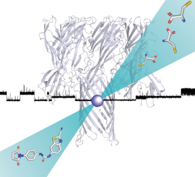 Single-Molecule Observation of Intermediates in Bioorthogonal 2-Cyanobenzothiazole Chemistry