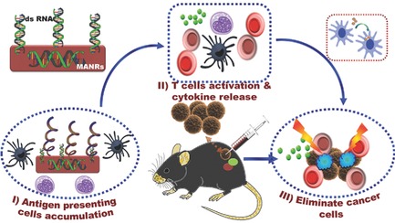 Mesoporous Caged-γ-AlOOH-Double-Stranded RNA Analog Complexes for Cancer Immunotherapy Issue 1, 2018