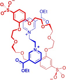 Cooperative Ion–Ion Interactions in the Formation of Interpenetrated Molecules