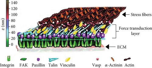 Details are in the caption following the image Details are in the caption following the image